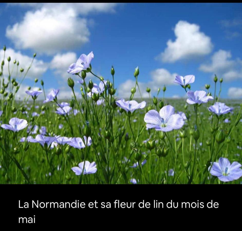 Appartement Veules Roses , La Cressonniere: « Veules & Victor «  Ngoại thất bức ảnh